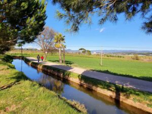 Caminant pel camí de la Sèquia: del parc de l’Agulla als aiguamolls de la Bòbila