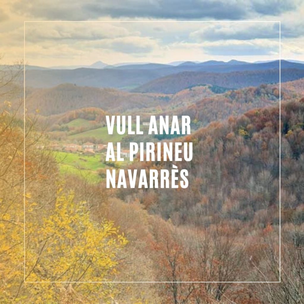 Vista muntanyes del pirineu de Navarra, escapades amb el gos