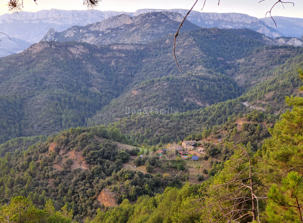 La Pegatera, una casa rural sostenible envoltada de boscos