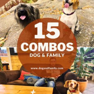 2n VOLUM GUIA DIGITAL 15 COMBOS DOG & FAMILY