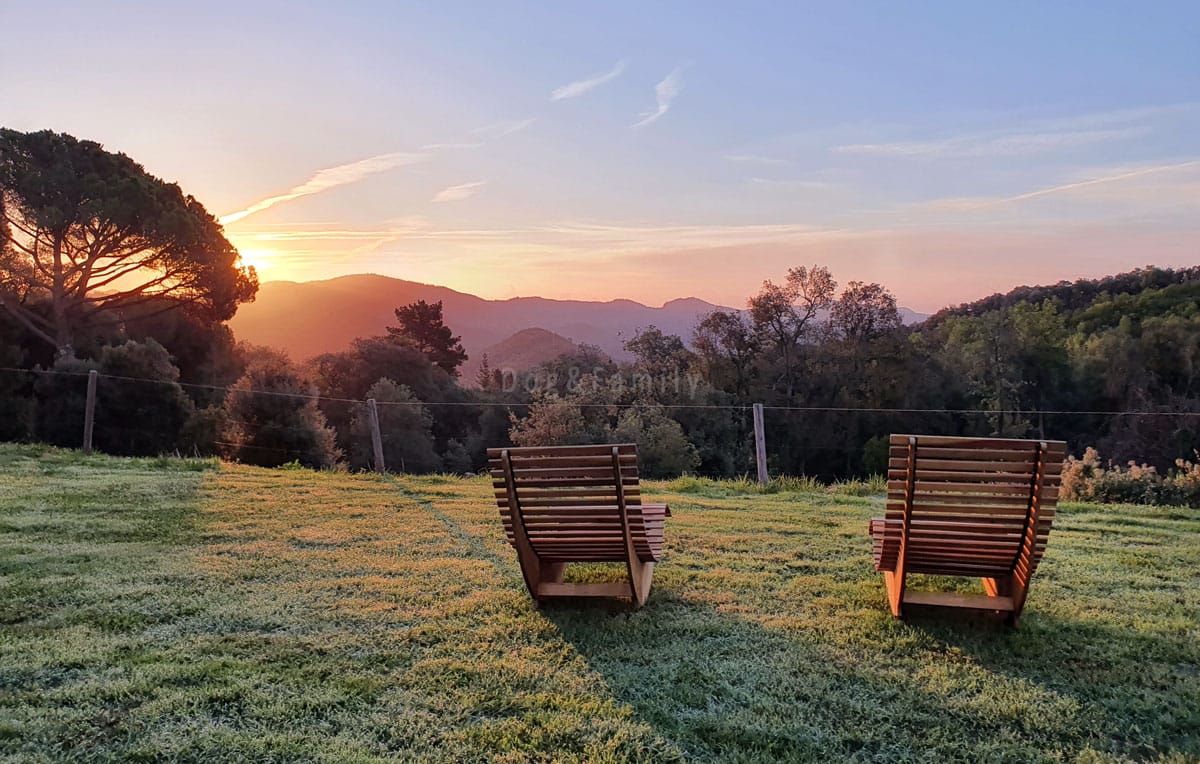 Vistes des de la Parellada, al Montseny - Dog & Family