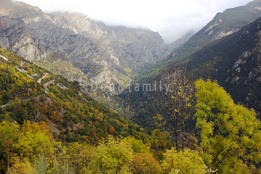 Dog and family a la vall de Ribes