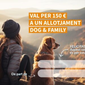 Targeta regal 150 € (model 1)