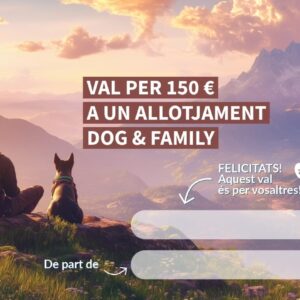 Targeta regal 150 € (model 2)